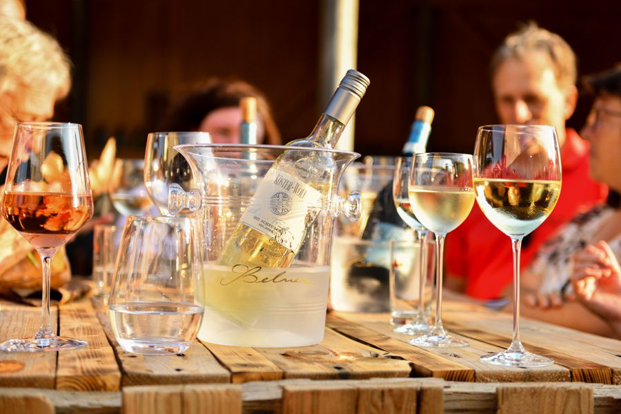 Eine Gruppe von Menschen am Tisch mit einer Flasche Wein im Weinkühler und Gläsern.