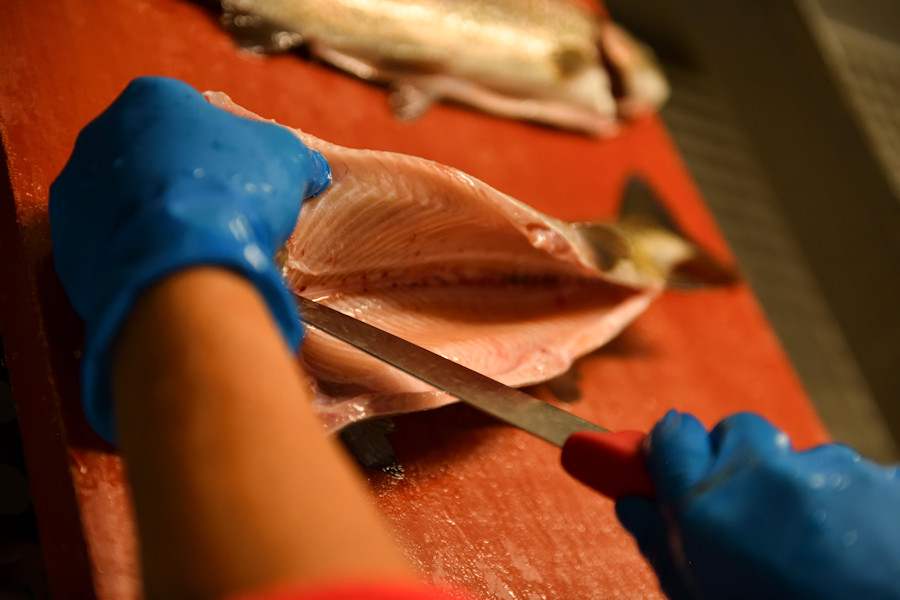 Zwei Hände tranchieren einen Fisch.