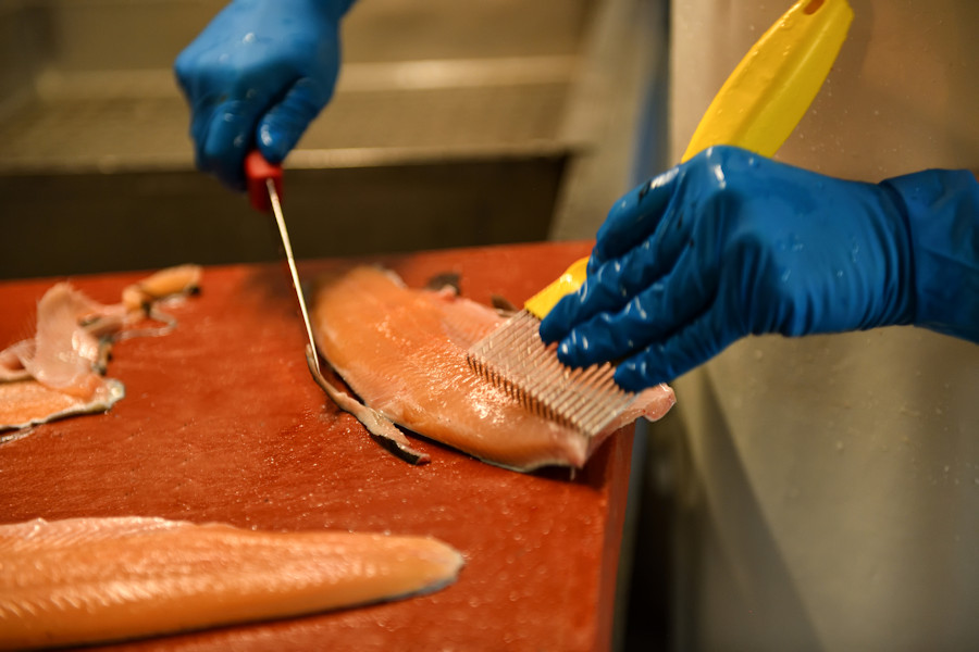 Bearbeitung des Fischfleisches mit zwei Händen und weiteren Geräten.